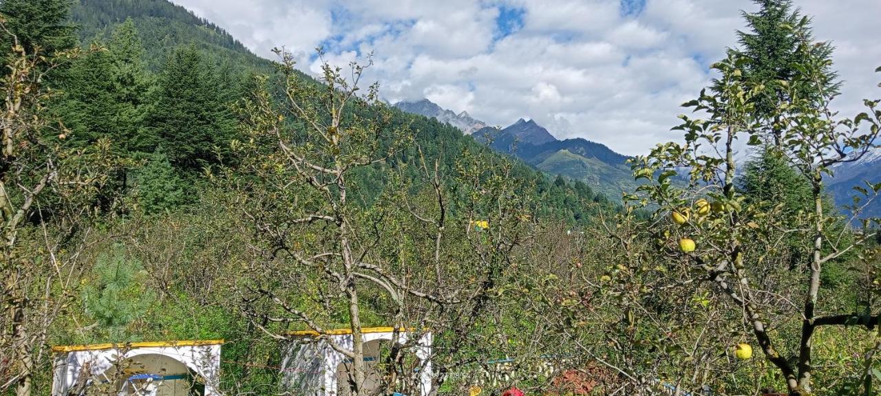 Apple Flower With Balcony And Mountain View Manali  Exterior photo